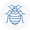 Bed Bug Extermination In Suttoncoldfield