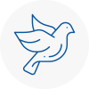 Bird Prevention Suttoncoldfield