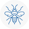 Suttoncoldfield Hornet Nest Removals
