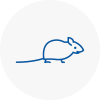 Mice Exterminators In Suttoncoldfield