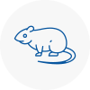 Rat Control Suttoncoldfield