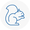 Suttoncoldfield Rodent Removals