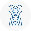 Suttoncoldfield Wasp Nest Removal